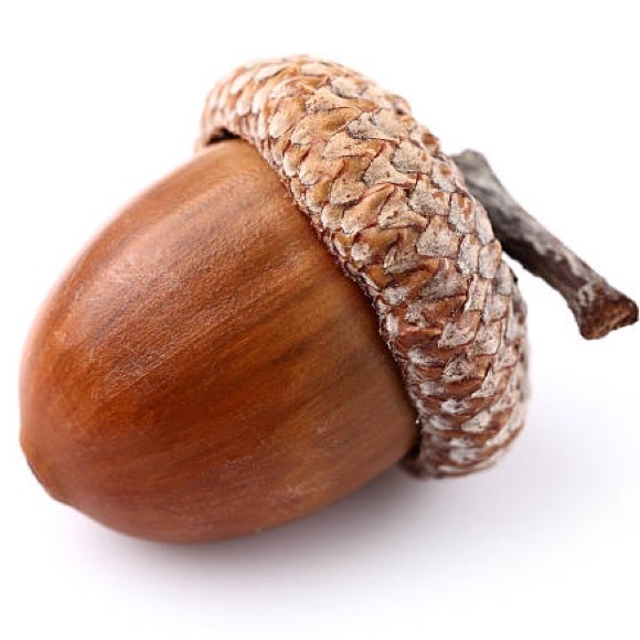 Meet the Posher Other - Meet your Posher, Felice